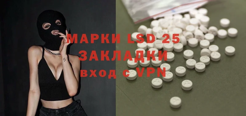 ЛСД экстази ecstasy  маркетплейс какой сайт  Курчалой 